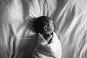 alliston newborn photographer